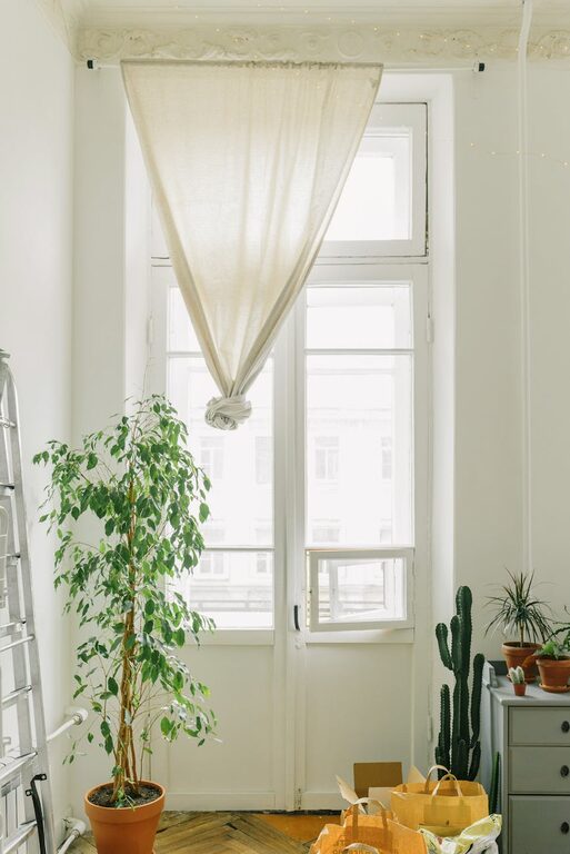 How to Refresh Your Home with Plants: Easy Tips for a Green Makeover